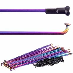 Rayons BMX Blank PG (arc-en-ciel)