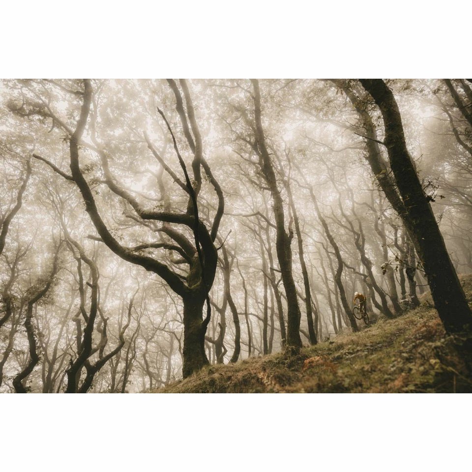 Goodyear Newton Enduro Tubeless Rear MTB Tyre Black 2.4" 29 7 Goodyear Newton Enduro Tubeless Rear MTB Tyre Black 2.4" 29 – Image 7