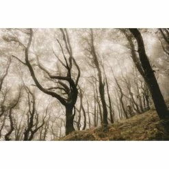 Goodyear Newton Trail Tubeless Front MTB Tyre Black 2.5" 27 -Roue Voyage Soldes Magasin Goodyear Newton Trail Tubeless Front MTB Tyre Tyres Black GR 015 64 622 V002 R 9