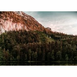 Vélo Rondo Ruut ST 1 (gravel, 2022) 9 Vélo Rondo Ruut ST 1 (gravel, 2022) -Roue Voyage Soldes Magasin Rondo Ruut ST 1 Gravel Bike 2022 Adventure Bikes Green Black 2022 RB 462 3